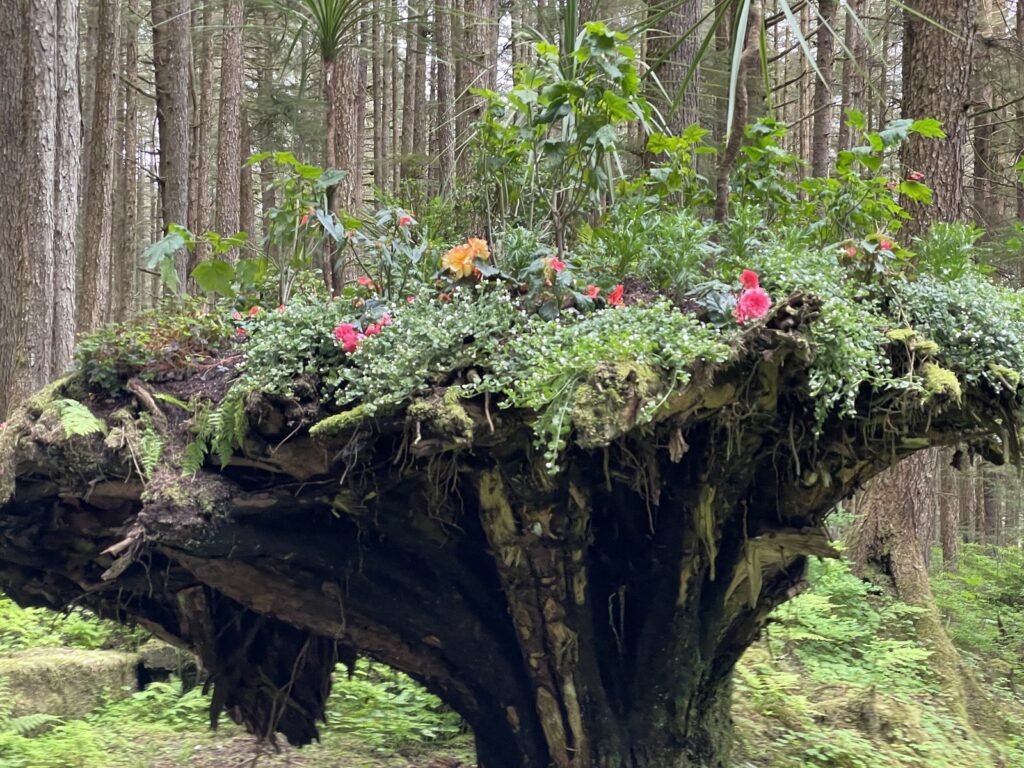An upside-down tree trunk planted with flowers on top, one of the flower towers at Glacier Gardens in Juneau