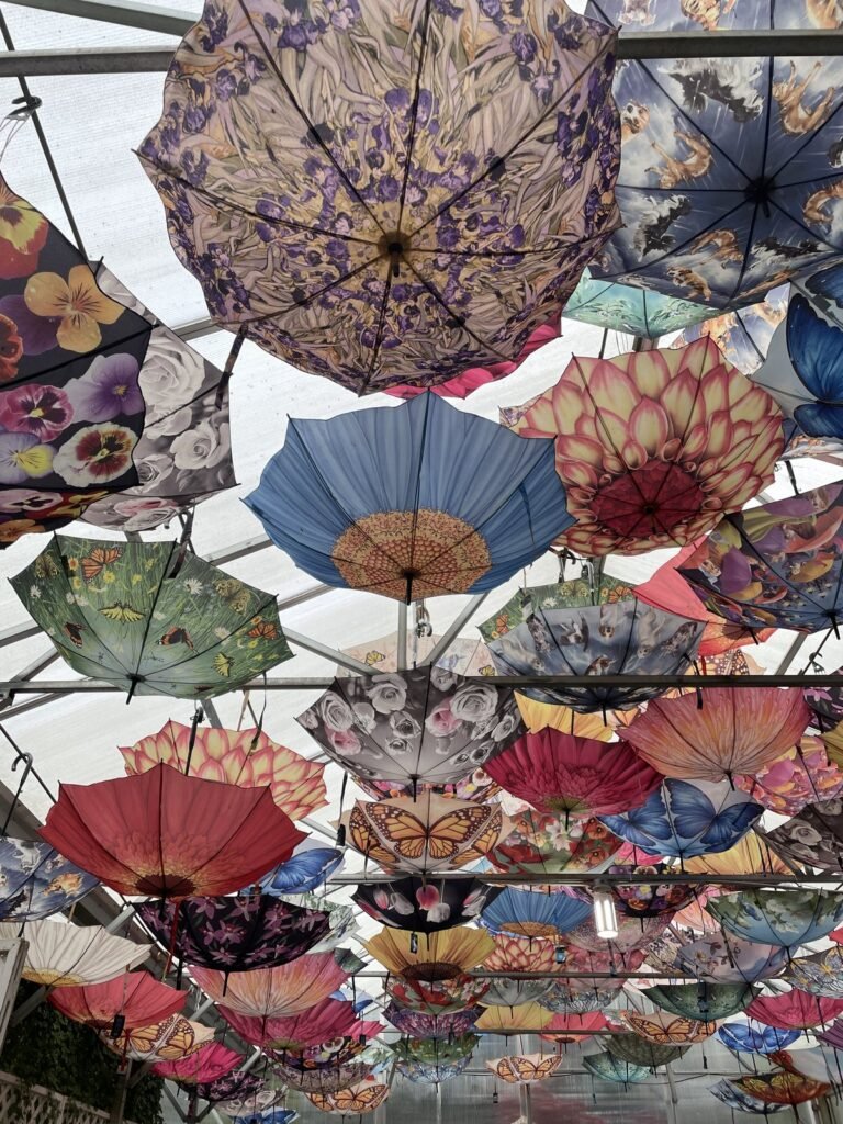 A ceiling of colorful open umbrellas hanging overhead at Glacier Gardens in Juneau