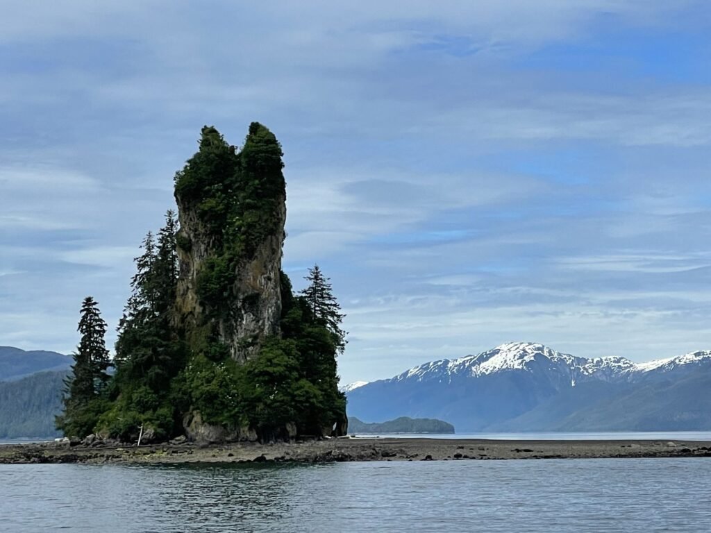 Forested shoreline and calm water in Misty Fjords National Monument, Alaska
