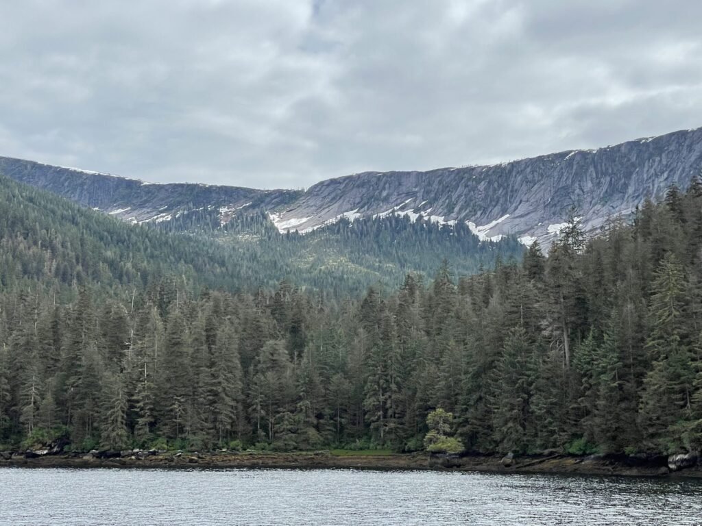A U-shaped valley with spruce forest and snow-streaked ridges rising above calm water in Misty Fjords